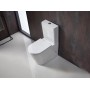 Berlin Quiet flushing technology Rimless  + Tornado Toilet Suite